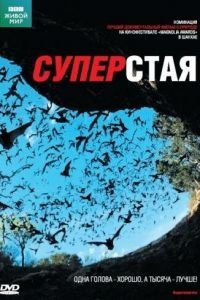 BBC: Суперстая (2009)